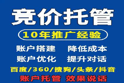 揭秘百度竞价广告：实战案例分析及优化策略